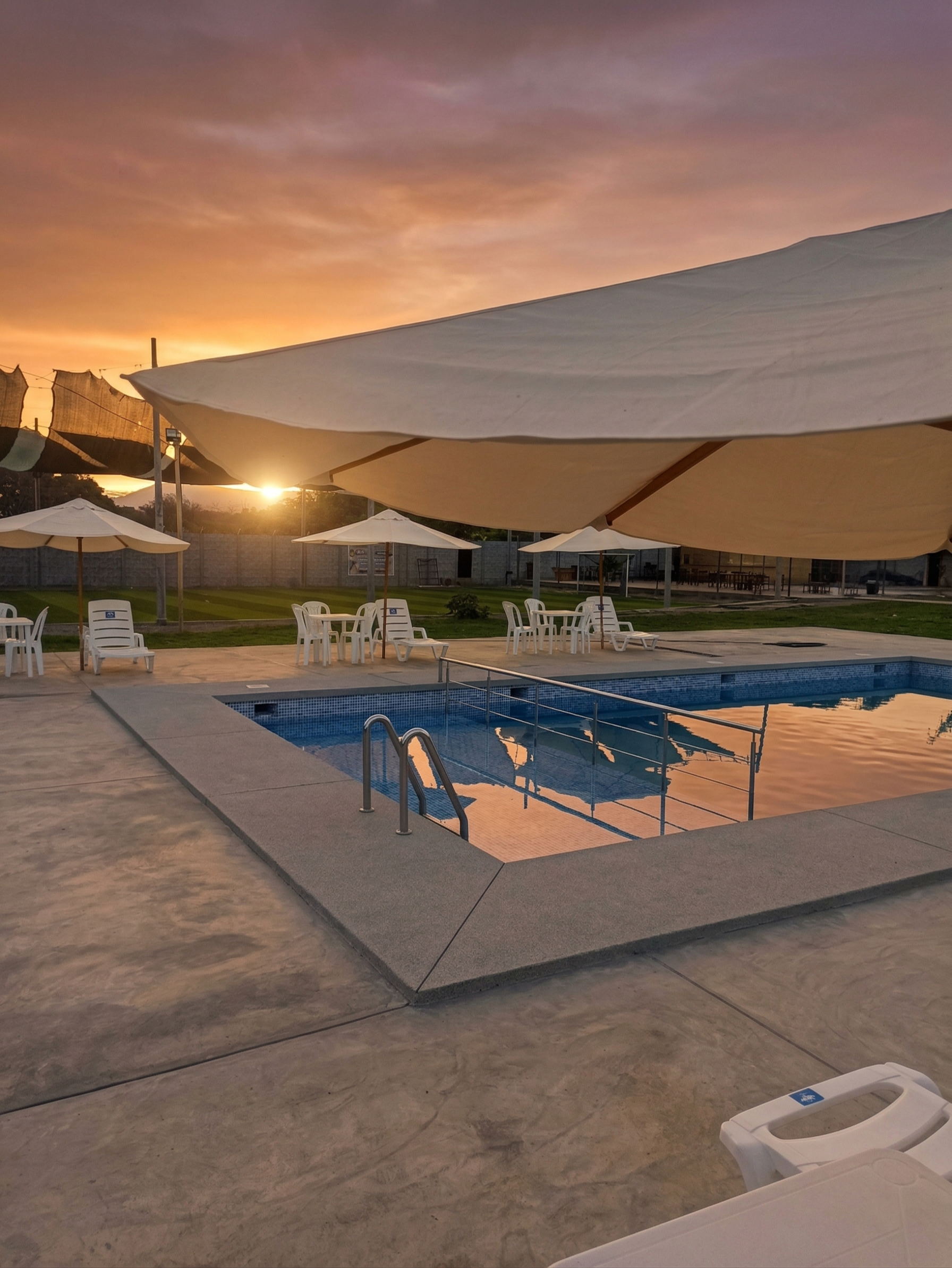 Piscina con área lounge y jardines